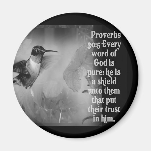 Proverbs 30:5 BIBLE SCRIPTURE mit Hummingbird Magnet (Vorne)