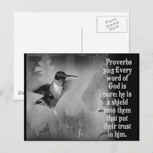 Proverbs 30:5 BIBLE SCRIPTURE mit Hummingbird Postkarte (Vorne/Hinten)