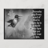 Proverbs 30:5 BIBLE SCRIPTURE mit Hummingbird Postkarte (Vorderseite)