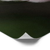 Proverbs 31:30 Schrift drucken Poster (Ecke)