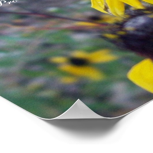 Proverbs 31 Sammlung~ Pro 31:26-27 Poster (Ecke)