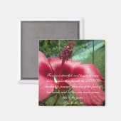 Proverbs 31 Sammlung ~ Pro 31:30-31 Magnet (Vorderseite/Rückseite)