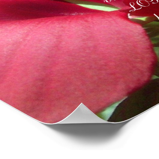 Proverbs 31 Sammlung ~ Pro 31: 30-31 Poster (Ecke)