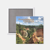 Providence Canyon Staat Park, Georgia Magnet (Vorderseite/Rückseite)
