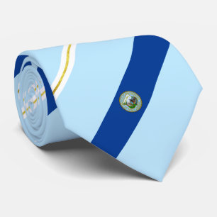 Providence (Rhode Island) Flagge Neck Tie Krawatte