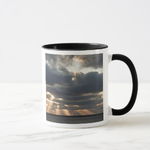 Provincetown, Massachusetts Tasse