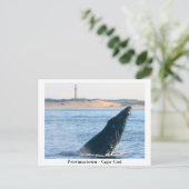 Provincetown - Postkarte für Cape Cod (Stehend Vorderseite)