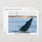 Provincetown - Postkarte für Cape Cod (Vorne/Hinten)