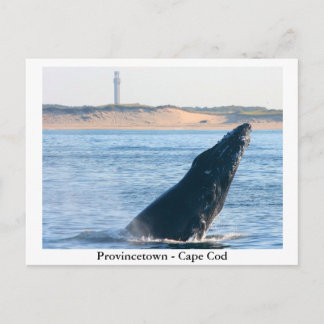 Provincetown - Postkarte für Cape Cod
