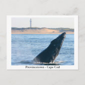 Provincetown - Postkarte für Cape Cod (Vorderseite)