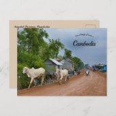 Provinz Kandal Kambodscha Postkarte (Vorne/Hinten)
