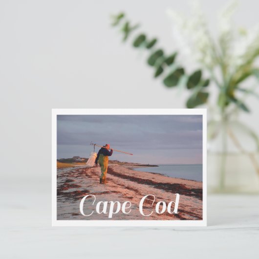 Provinz, Massachusetts Cape Cod Post Card Postkarte (Stehend Vorderseite)