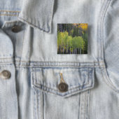 Provo-Fluss und Aspen-Bäume Button (Beispiel)
