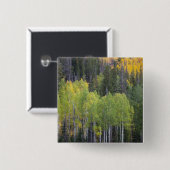 Provo-Fluss und Aspen-Bäume Button (Vorne & Hinten)