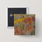 Provo-Fluss und Aspen-Bäume Button (Vorne & Hinten)