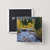 Provo-Fluss und Aspen-Bäume Button (Vorne & Hinten)