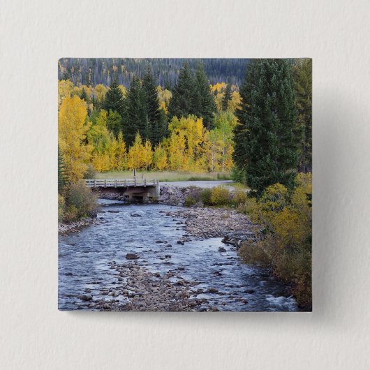 Provo-Fluss und Aspen-Bäume Button (Vorderseite)