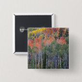 Provo-Fluss und Aspen-Bäume Button (Vorne & Hinten)