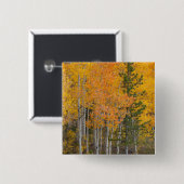 Provo-Fluss und Aspen-Bäume Button (Vorne & Hinten)