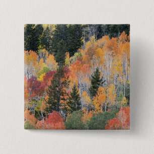 Provo-Fluss und Aspen-Bäume Button
