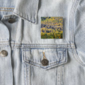Provo-Fluss und Aspen-Bäume Button (Beispiel)