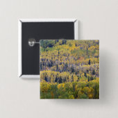 Provo-Fluss und Aspen-Bäume Button (Vorne & Hinten)