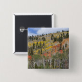 Provo-Fluss und Aspen-Bäume Button (Vorne & Hinten)