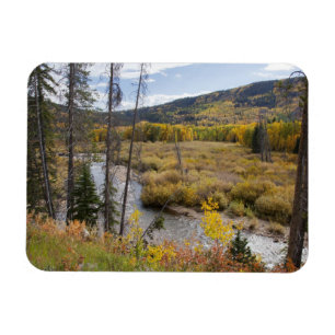 Provo-Fluss und Aspen-Bäume Magnet
