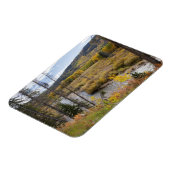 Provo-Fluss und Aspen-Bäume Magnet (Linke Seite)