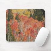 Provo-Fluss und Aspen-Bäume Mousepad (Mit Mouse)