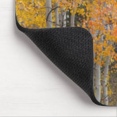 Provo-Fluss und Aspen-Bäume Mousepad (Ecke)