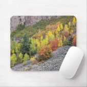Provo-Fluss und Aspen-Bäume Mousepad (Mit Mouse)