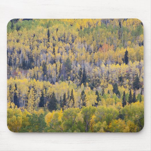 Provo-Fluss und Aspen-Bäume Mousepad (Vorne)