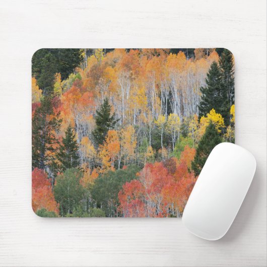 Provo-Fluss und Aspen-Bäume Mousepad (Mit Mouse)