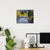 Provo-Fluss und Aspen-Bäume Poster (Heimbüro)