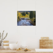 Provo-Fluss und Aspen-Bäume Poster (Küche)