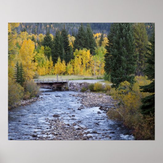 Provo-Fluss und Aspen-Bäume Poster (Vorne)