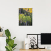 Provo-Fluss und Aspen-Bäume Poster (Heimbüro)