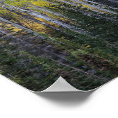 Provo-Fluss und Aspen-Bäume Poster (Ecke)