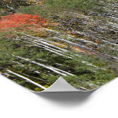 Provo-Fluss und Aspen-Bäume Poster (Ecke)