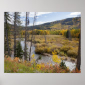 Provo-Fluss und Aspen-Bäume Poster (Vorne)