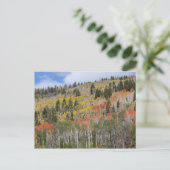 Provo-Fluss und Aspen-Bäume Postkarte (Stehend Vorderseite)