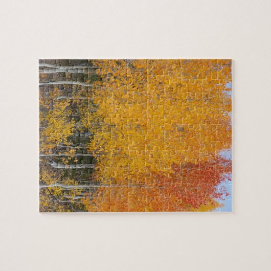 Provo-Fluss und Aspen-Bäume Puzzle (Horizontal)