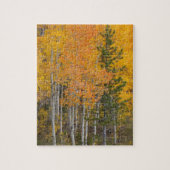Provo-Fluss und Aspen-Bäume Puzzle (Vertikal)