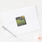 Provo-Fluss und Aspen-Bäume Quadratischer Aufkleber (Umschlag)