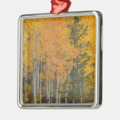 Provo-Fluss und Aspen-Bäume Silbernes Ornament (Links)
