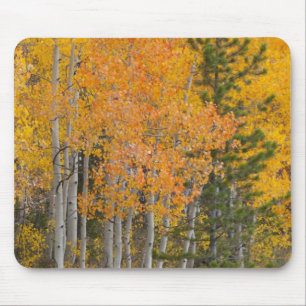 Provo-Fluss und Espen Mousepad