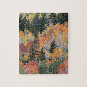 Provo-Fluss und Espen Puzzle
