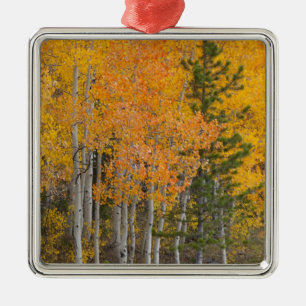 Provo-Fluss und Espen Silbernes Ornament