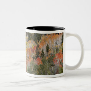 Provo-Fluss und Espen Zweifarbige Tasse